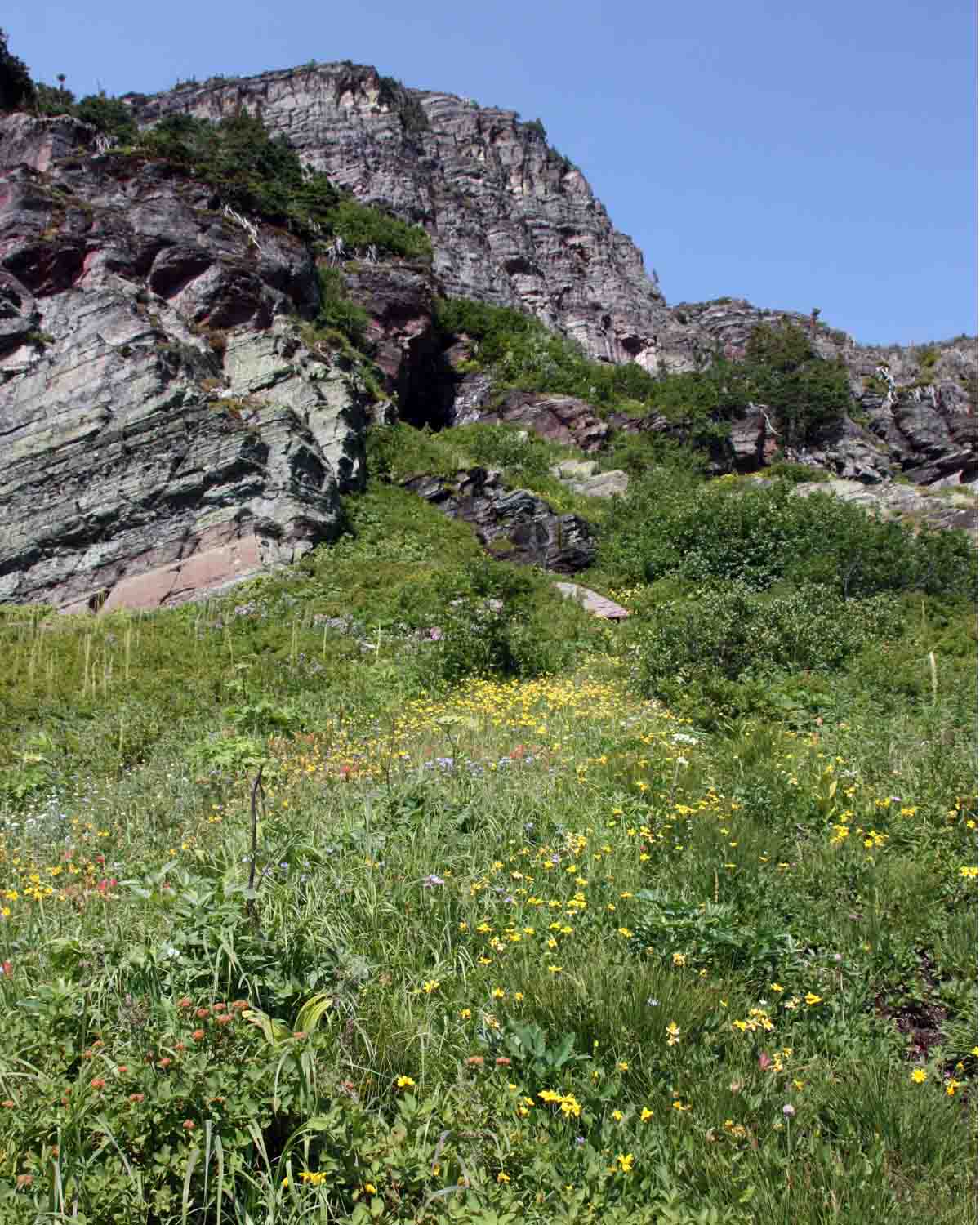 IMG_0127 Grinnell Glacier hike