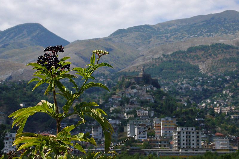 Gjirokastra from the Drinos Valley