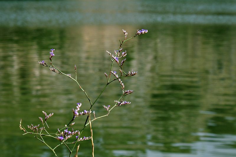 Butrint - Vivari Channel