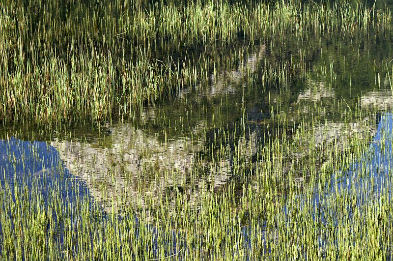 Crno Jezero