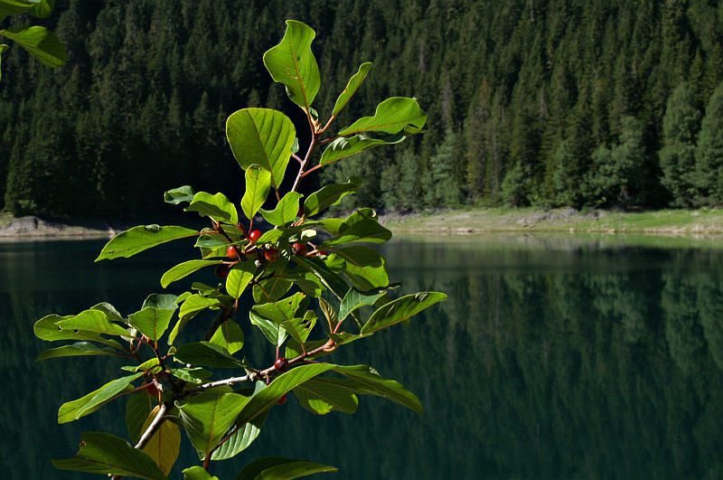 Crno Jezero