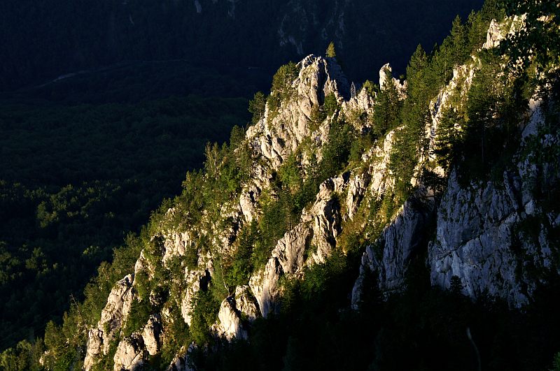 Tara Canyon
