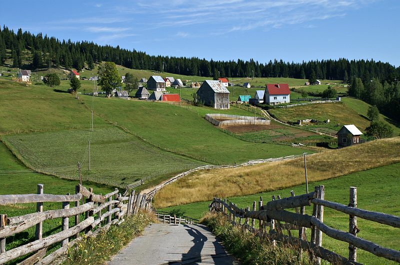 Bosača village