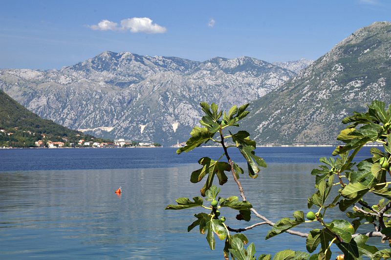 Bay of Kotor at Dobrota