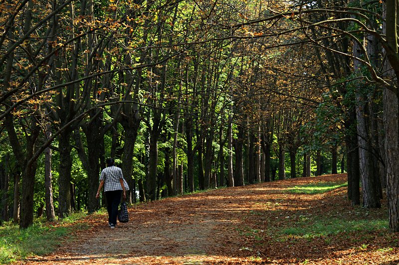 Park in Topola