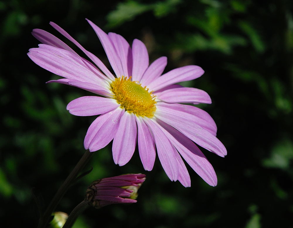 D20_5035 copy.jpg