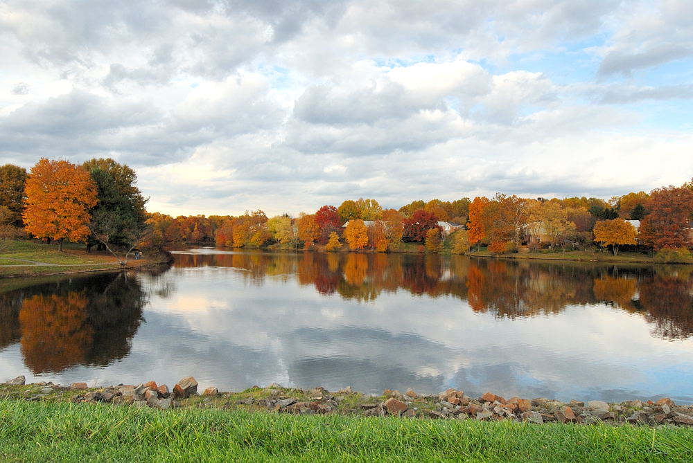 D20_5939 copy.jpg