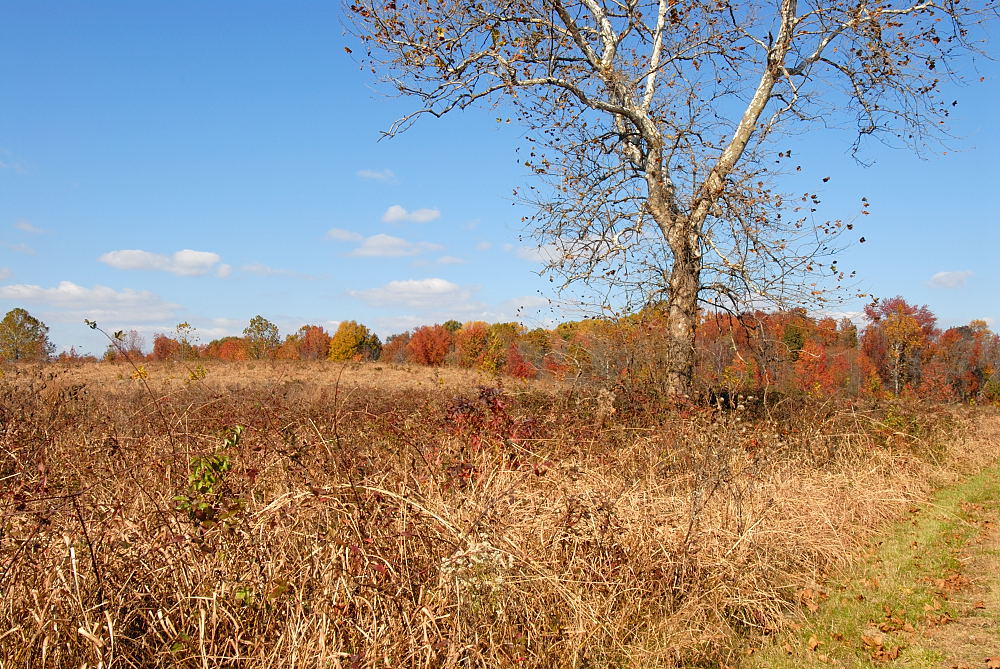 D20_6034 copy.jpg