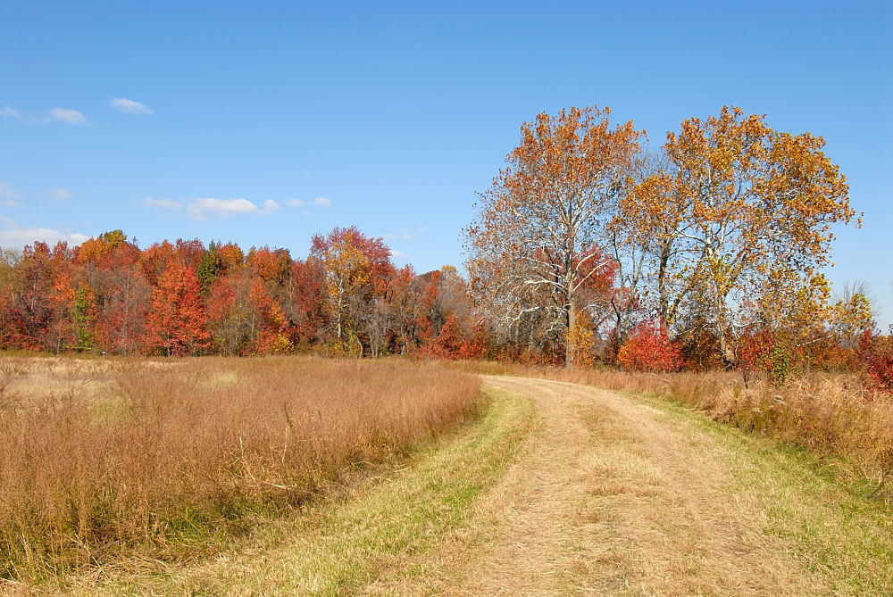 D20_6039 copy.jpg