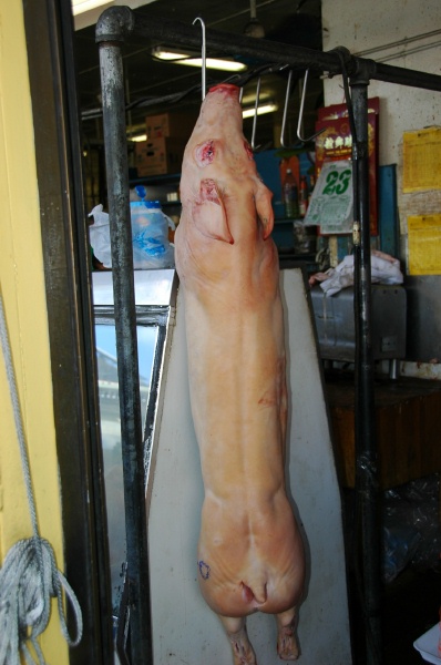 DSC_2582.JPG