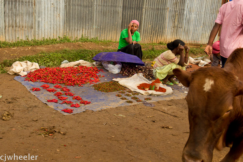 The market.