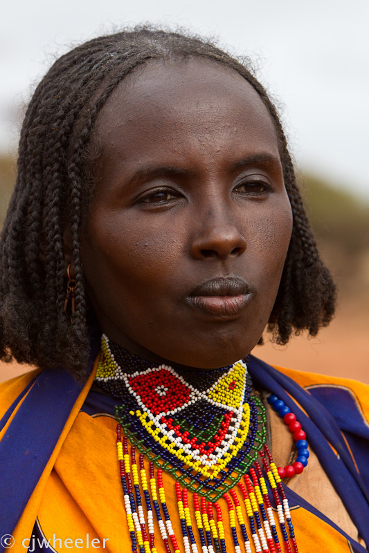 Woman from the well