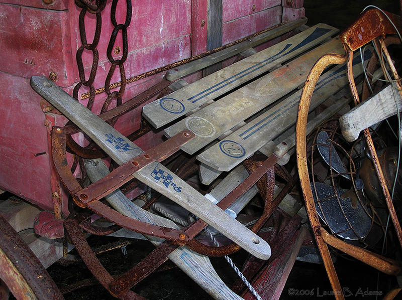 Sleds by Laurie B. Adams