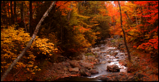 The feeling of fall, the warmth of home