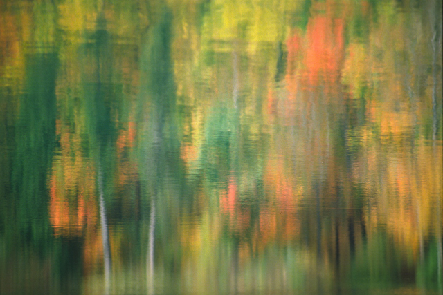 A1_0013.JPG