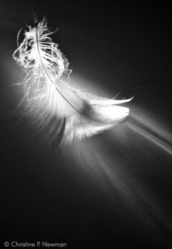 Radiance