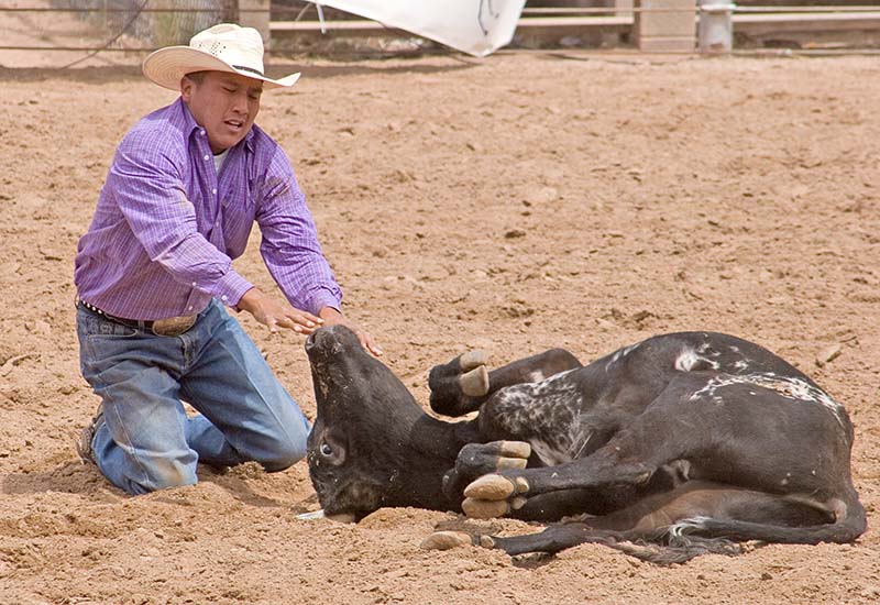 CalfWrestling1.jpg