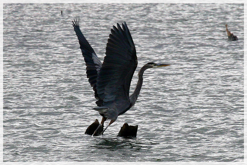 Taking Off