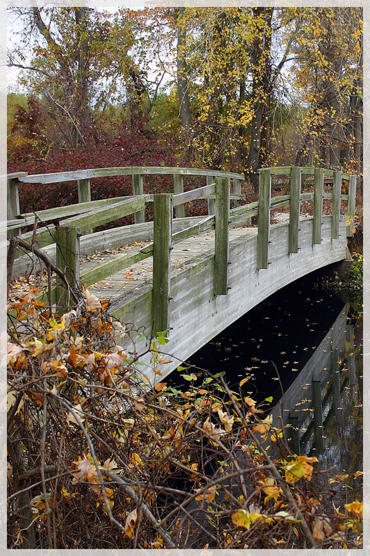 Mingo Swamp Boardwalk Bridge