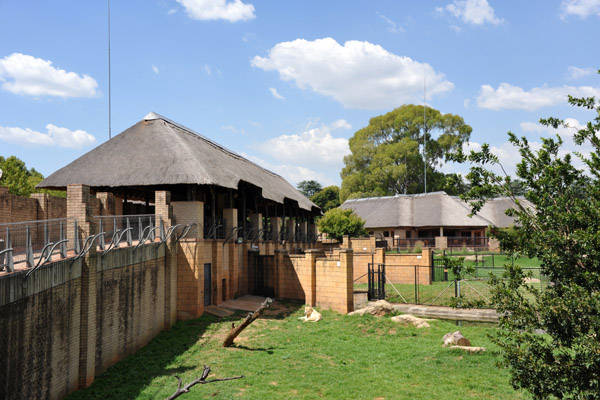 Lion enclosures - Johannesburg Zoo