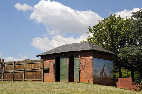 Giraffe enclosure - Johannesburg Zoo