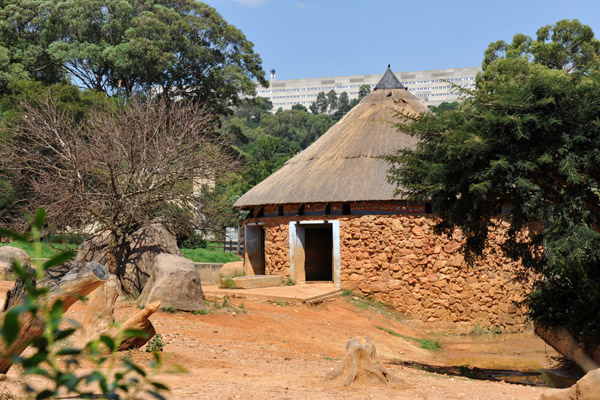 Rhino Enclosure - Johannesburg Zoo