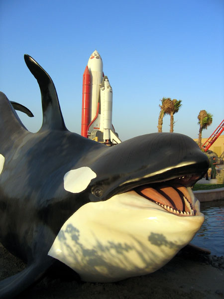 Orca (Killer Whale) Dubailand Sales Center