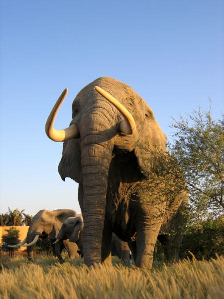 Elephant, Dubailand Sales Center