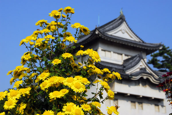 Chrysanthemum Exhibition, Nagoya Castle