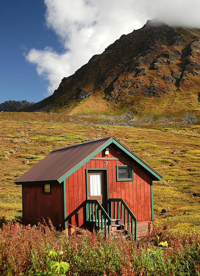 Cabin With A View