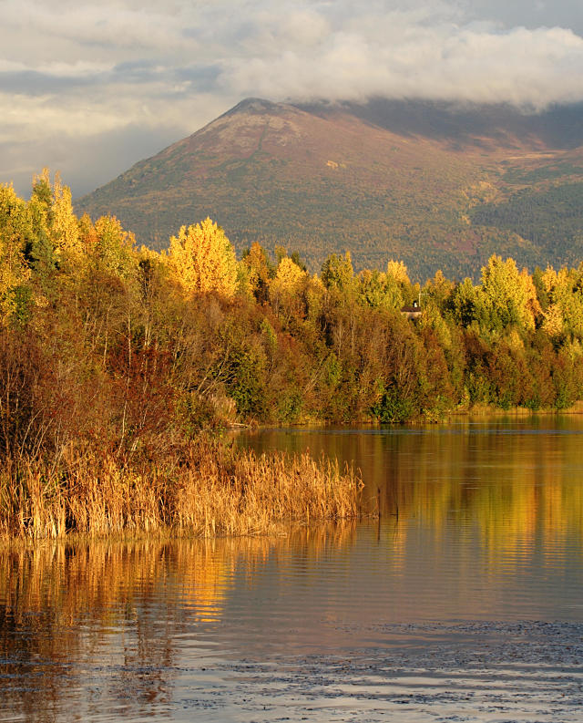 Evening Fall Colors