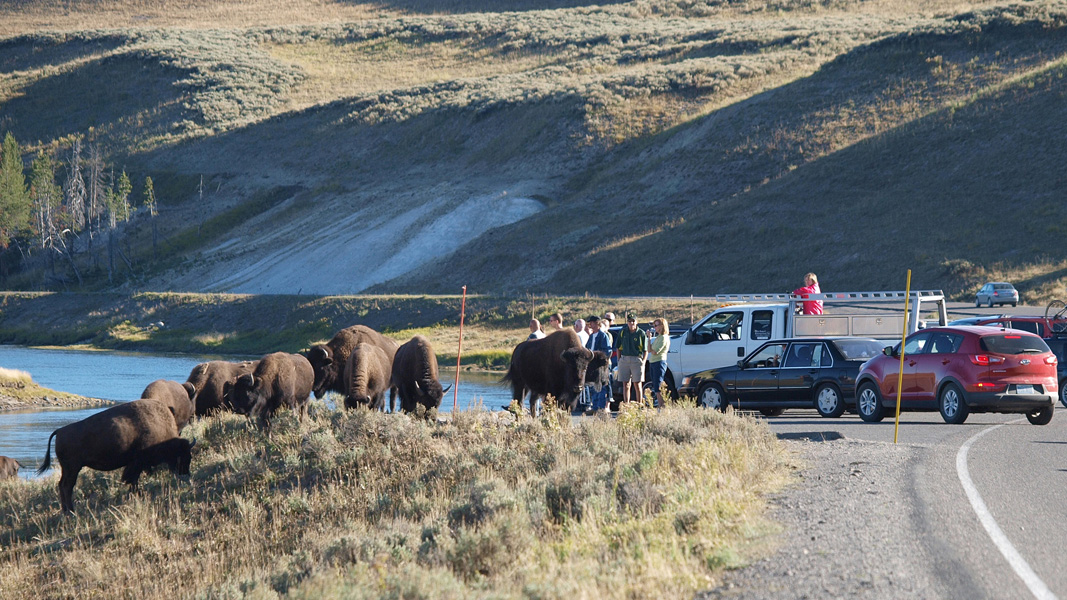yellowstone_ss_10_053.JPG