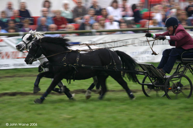 Royal County of Berkshire Show, Newbury 2006