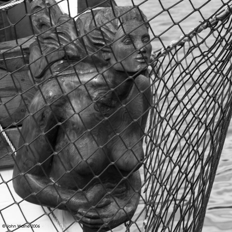 Fishnet?