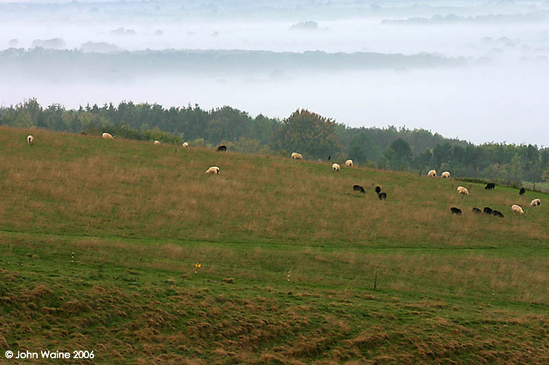 Uffington White Horse