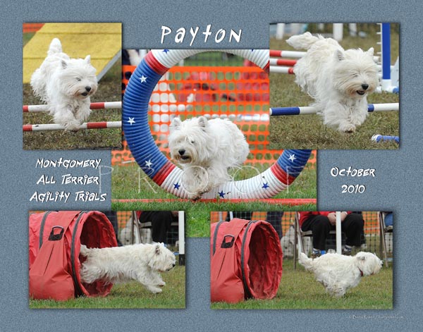 Bransford 11x14 Payton Laminated Plaque