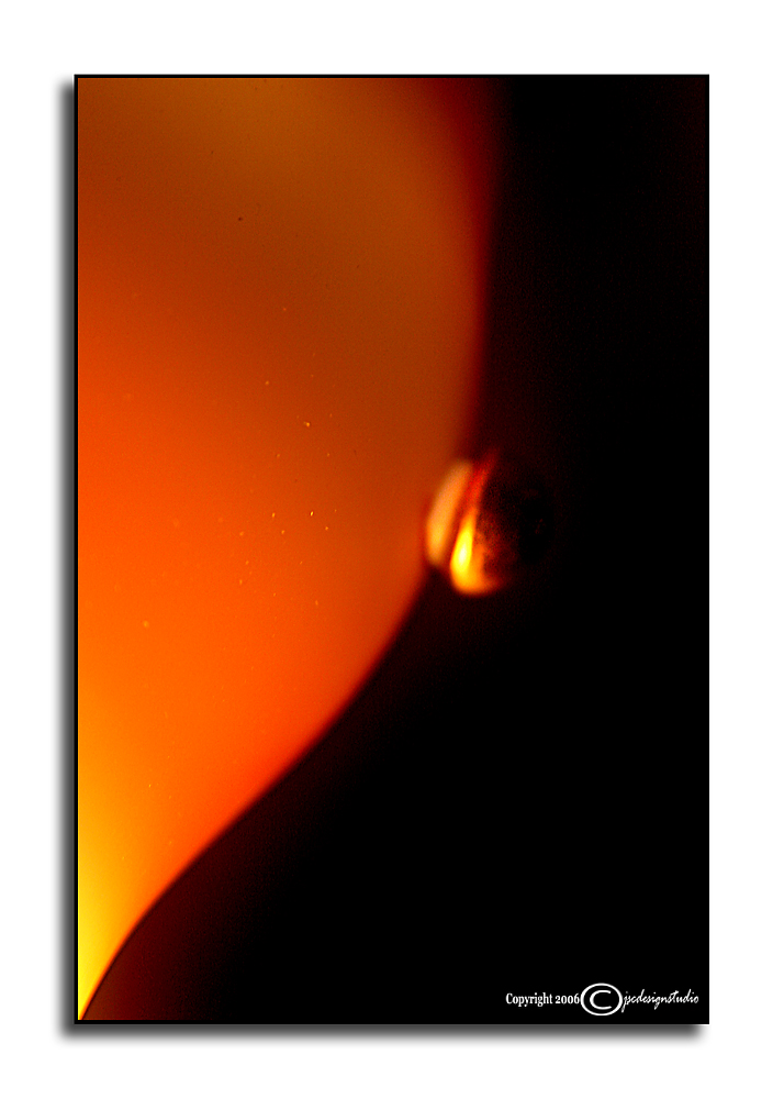 DAY 26<br>Curves<br>October 26