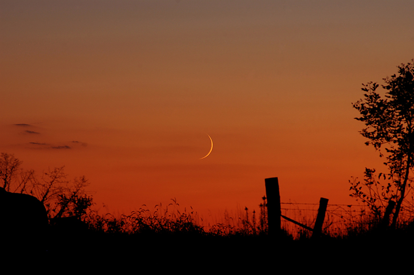 Fall Crescent