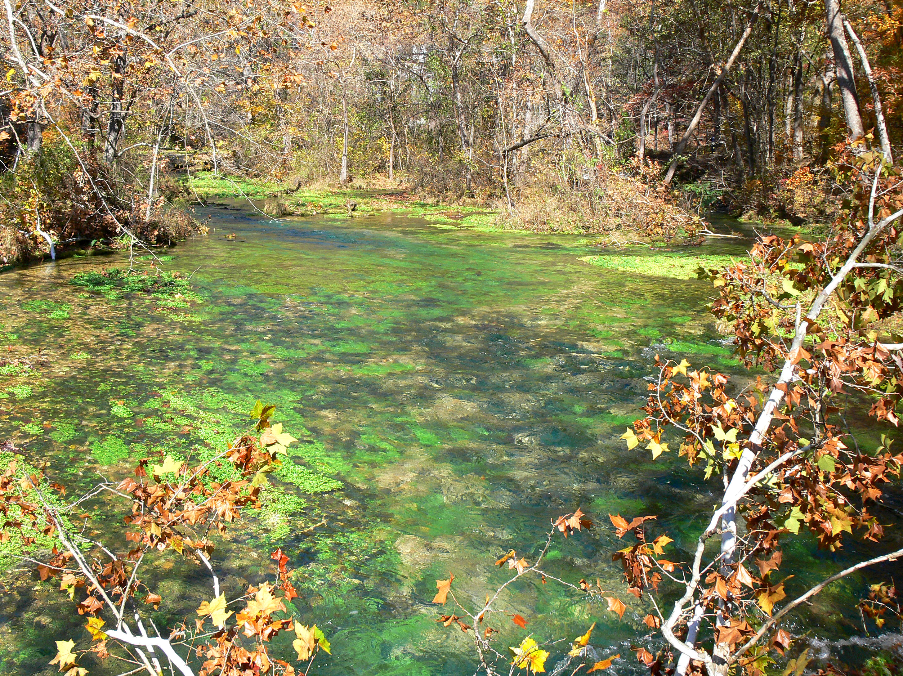 Alley Spring run off.JPG