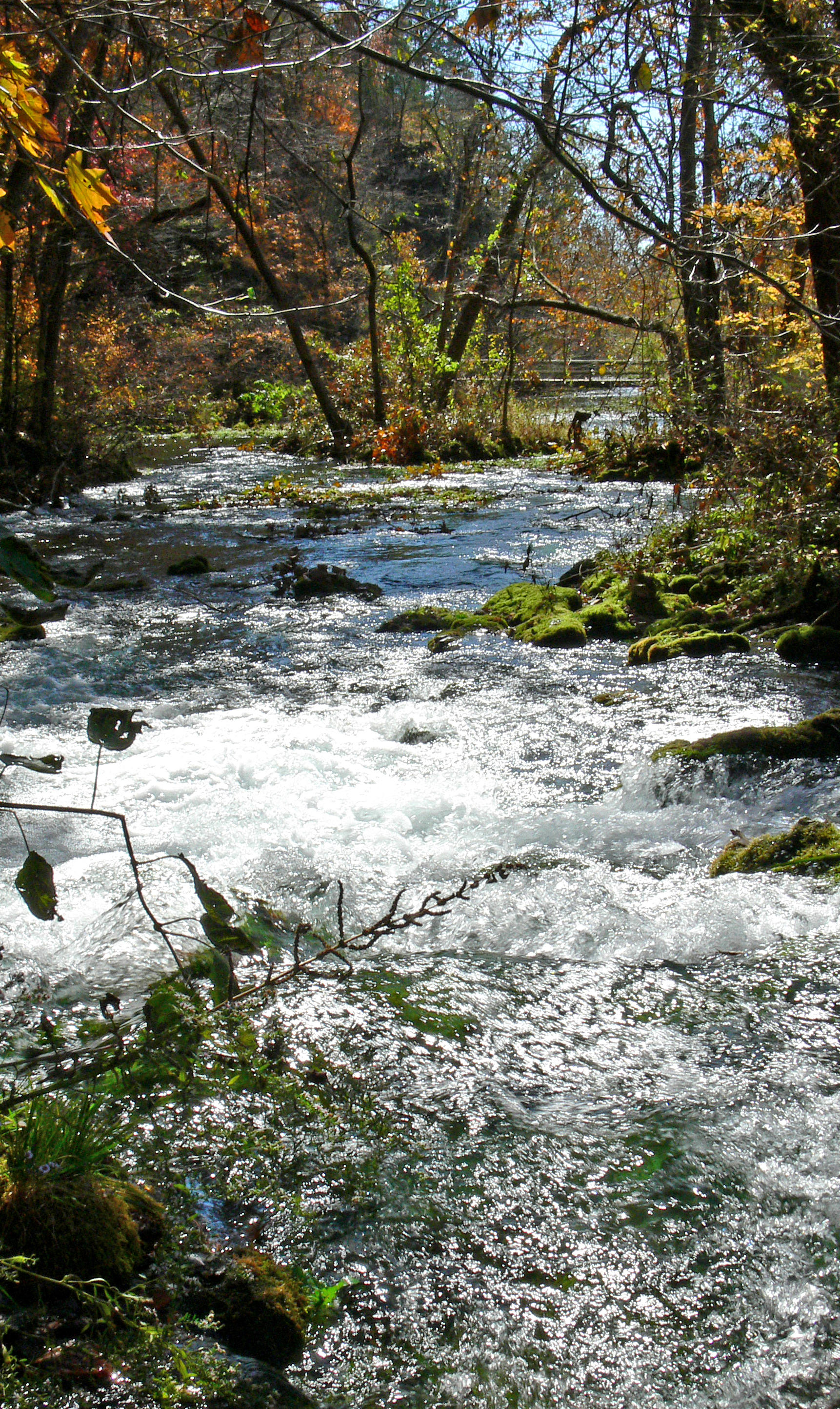 Spring stream.JPG