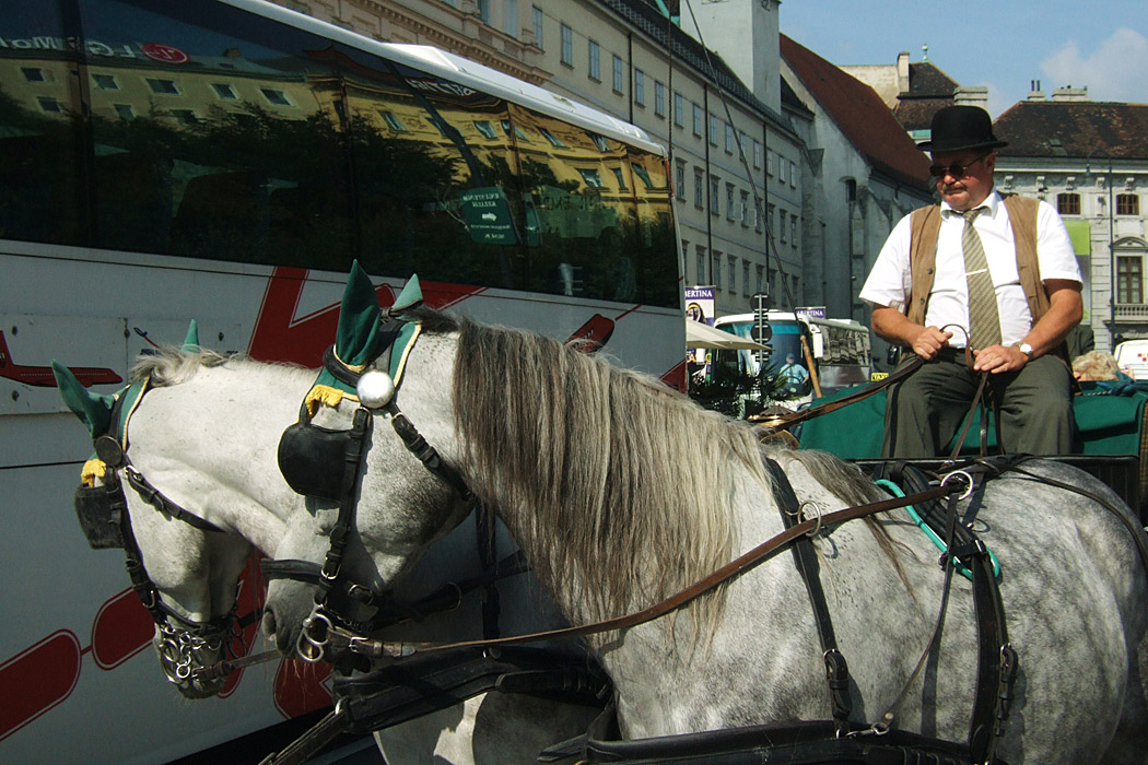 DSCF3707rP.jpg