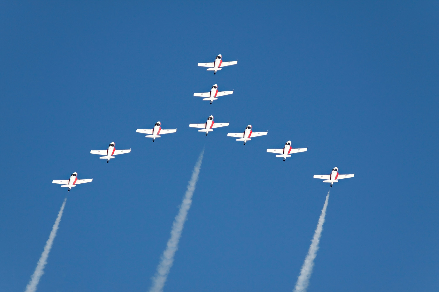 Canadian Snowbirds