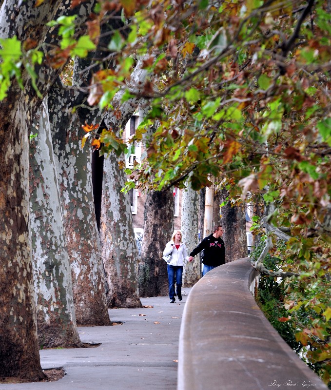 lovers lane