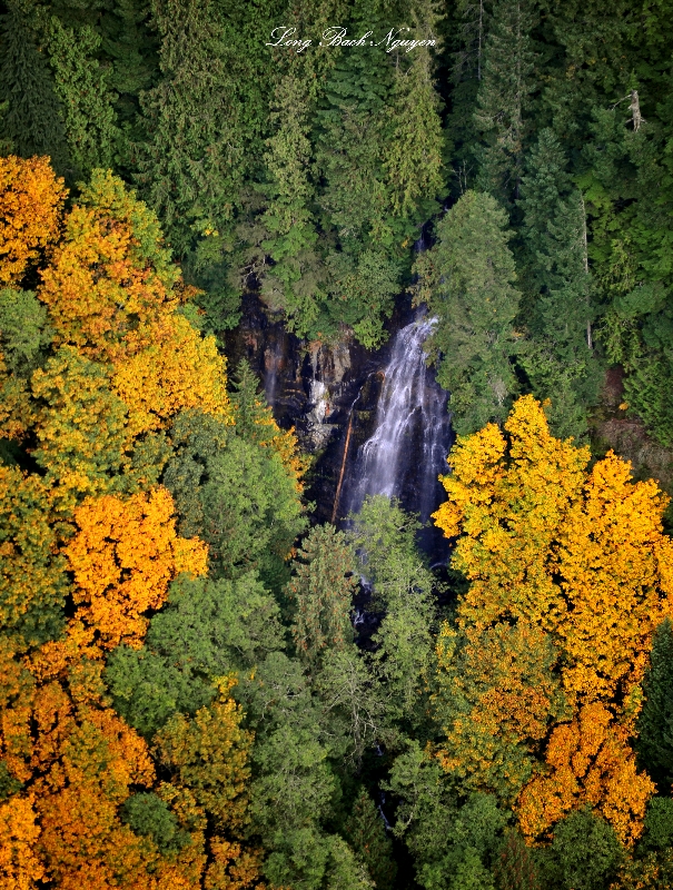 waterfall in forest