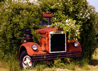 Truck Garden