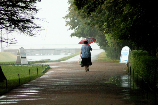 Walking in the rain, Peterhof Palace, Russia