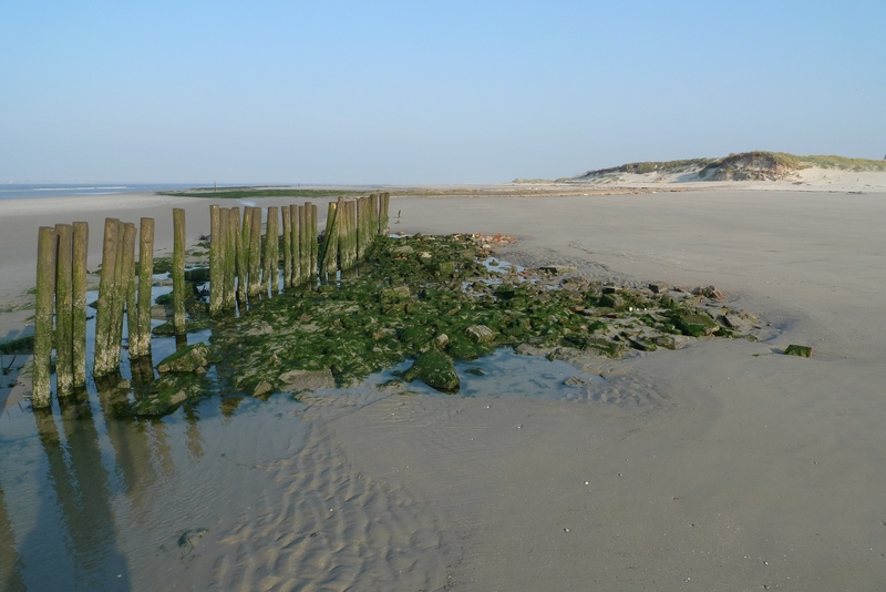 Westpunt Rottumeroog