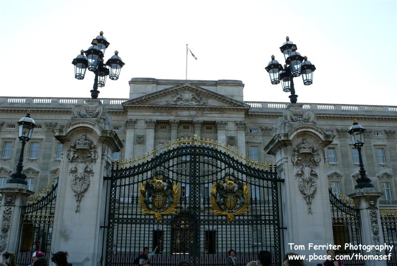 Buckingham Palace - 3D9F2488.jpg