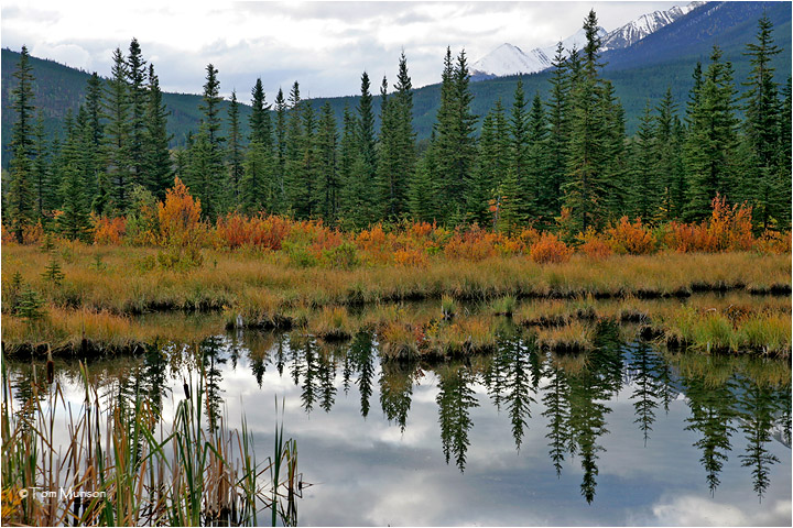  Banff  NP