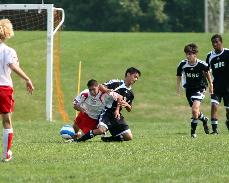 IMG_8651.jpg